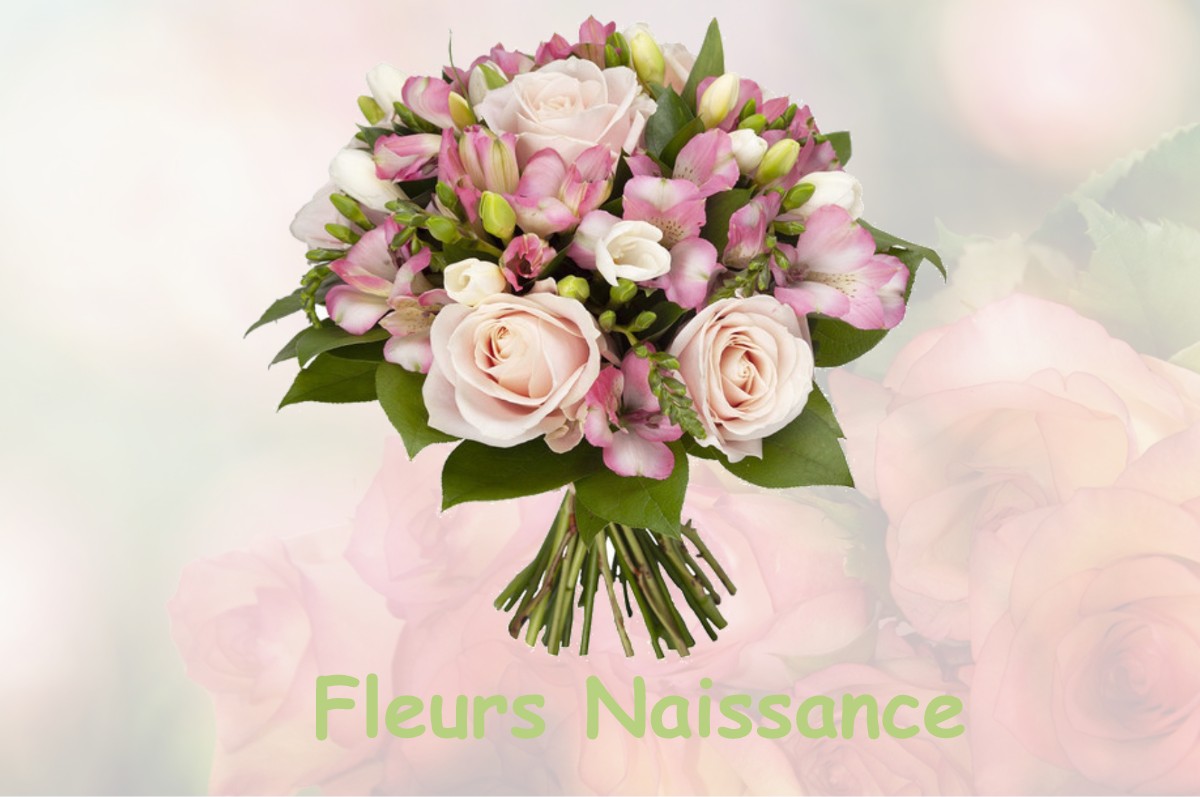 fleurs naissance PREFONTAINES