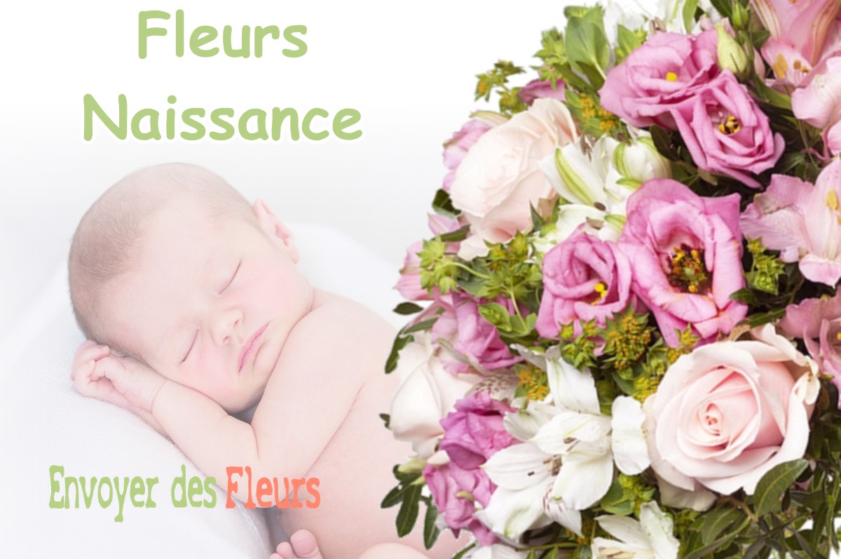 lIVRAISON FLEURS NAISSANCE à PREFONTAINES